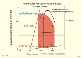 left ventricular pressure-volume loop