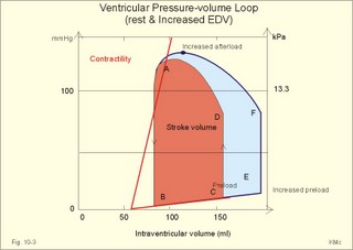 left ventricular pressure-volume loops