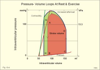 left ventricular pressure-volume loops