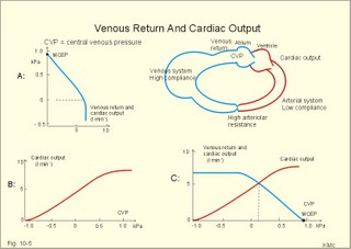 The central venous pressure 
