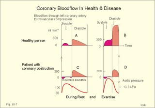 Bloodflow