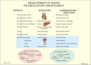 Development of shock conditions