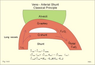 size of shunt