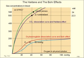 Concentration curves