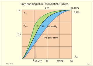 The oxyhemoglobin curve