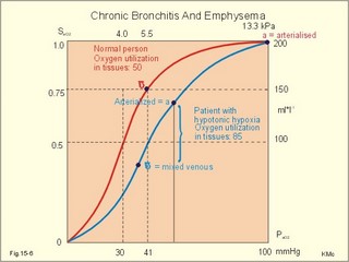 arterial and mixed venous oxygen tensions