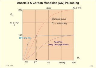 CO poisoning
