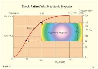 arterial and mixed venous point on the oxyhemoglobin saturation curve