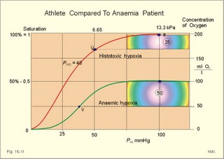 Arterial and mixed venous oxygen tensions