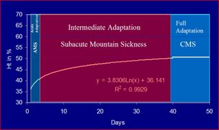 The three stages of adaptation to chronic hypoxia