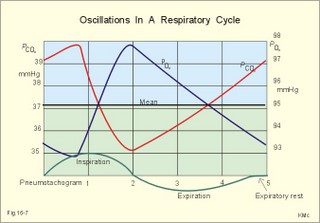 alveolar gas tensions