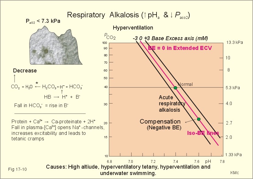 online from reasons to