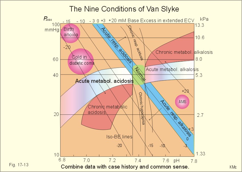 Plotting the measured pH and PCO2 in the acid-base chart allows estimation