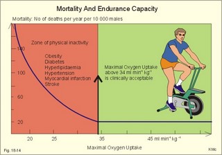 Endurance capacity