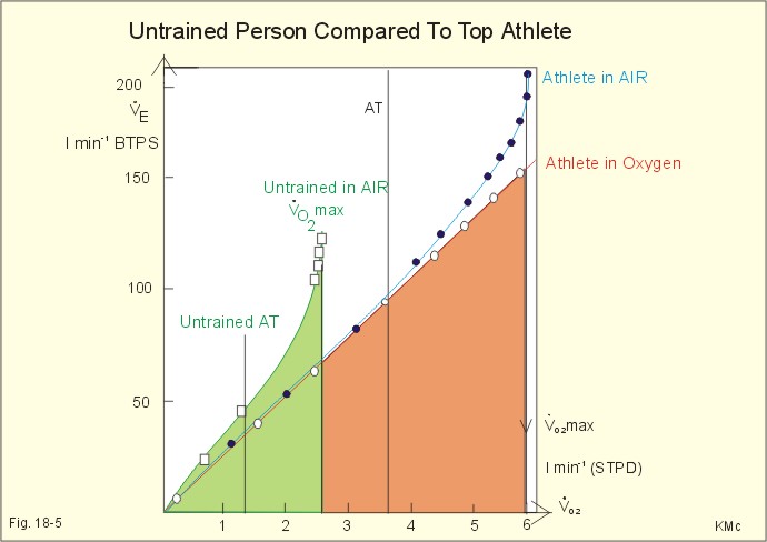 Image result for better o2 in athletes
