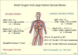 small oxygen stores