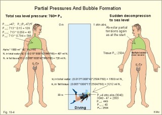 bubble formation