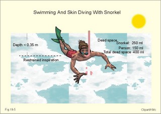 skin diving