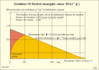 Absorption and oxidation of alcohol