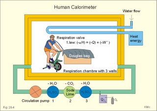 The human calorimeter combined with a metabolic ratemeter