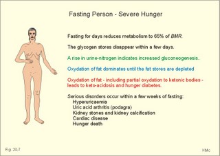 Continuous fasting