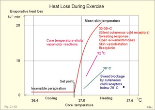 Evaporative heat loss