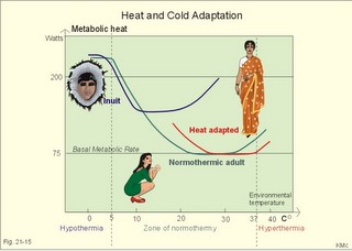 heat and cold adaptation