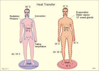 Heat transfers