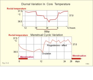 variations in core temperature