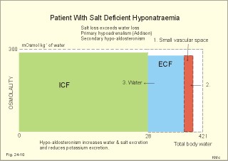 body fluid compartments