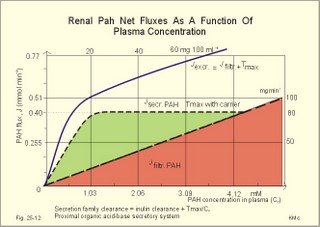 Renal PAH net rates