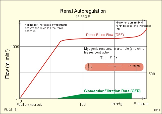 Gfr Rate Chart