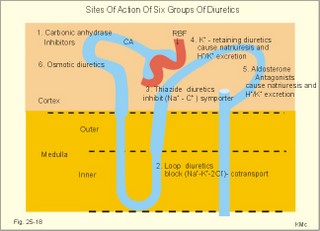 diuretics