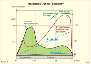 plasma hormone