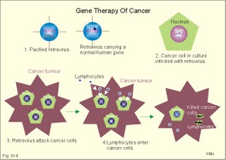 Gene therapy of cancer