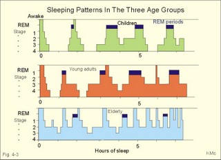 Differences in sleeping pattern