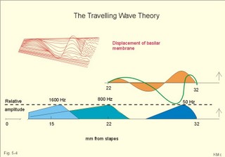travelling wave theory