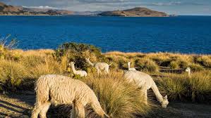 Titicaca
