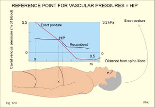 The hydrostatic indifference point