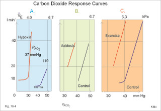Co2 response curves