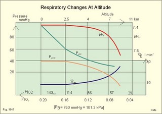Respiratory variables