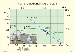 Alveolar points for altitude residents