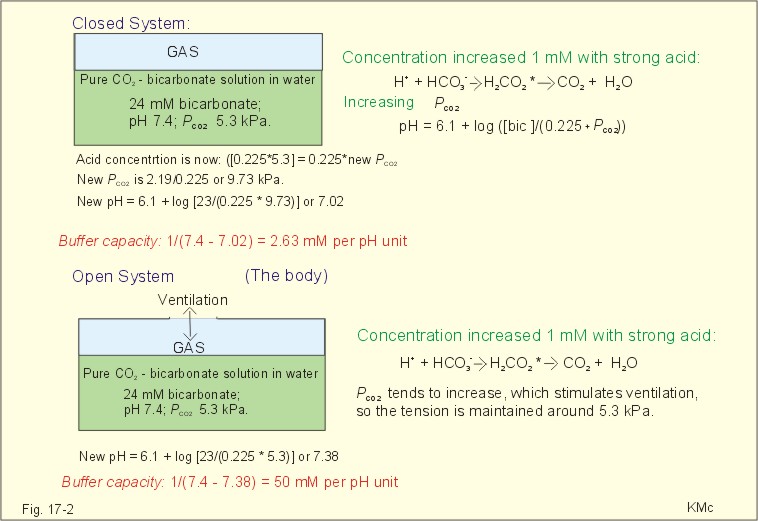 Buffer Ph Range Chart