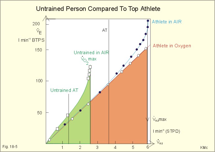 Normal Blood Pressure For Athletes Chart