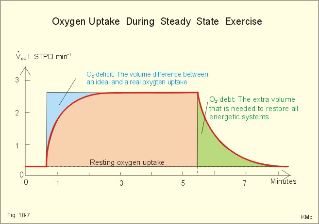 Oxygen Consumption Chart