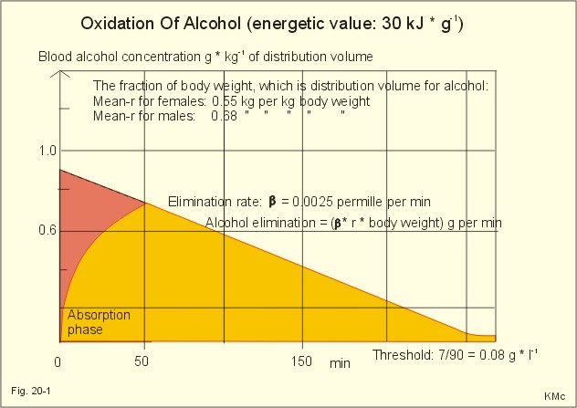 Alcohol Metabolism Rate Chart