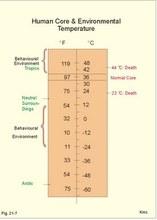 Enviromental temp variations