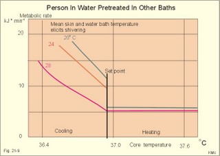 metabolic rate as a function of the core and shell temp