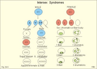 intersex syndromes