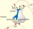 chapter1 cells